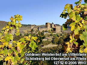 Golden wine autumn on the Middle Rhine River: Schonburg castle near Oberwesel on the Rhine River